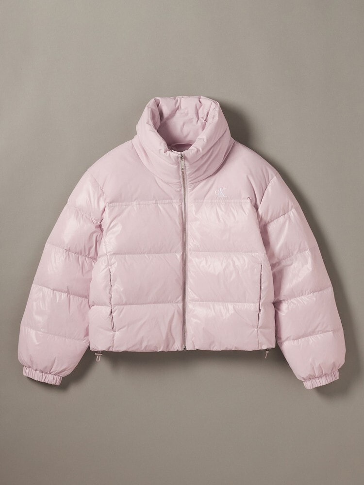 【オンライン完売】   ダウンパッファジャケット phenix（プラスフェニックス） L-7 ダウンジャケット ゴアテックス