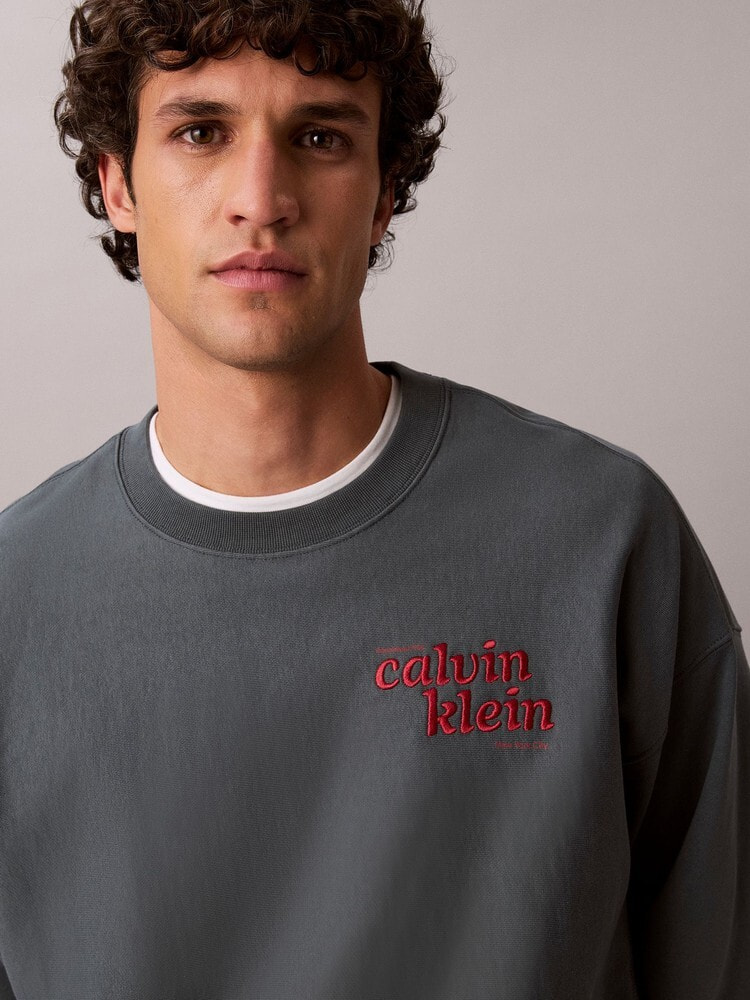 ゆーみん(カチューシャ.カルバントレーナー) スウェット - プレミアムテリーグラフィックトレーナー | カルバン
